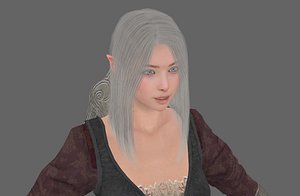 female knight 3D model