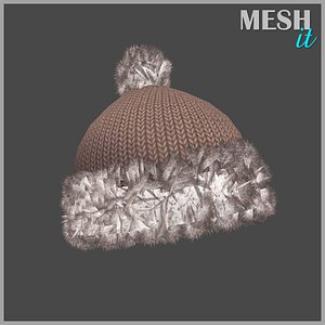 Winter Hat