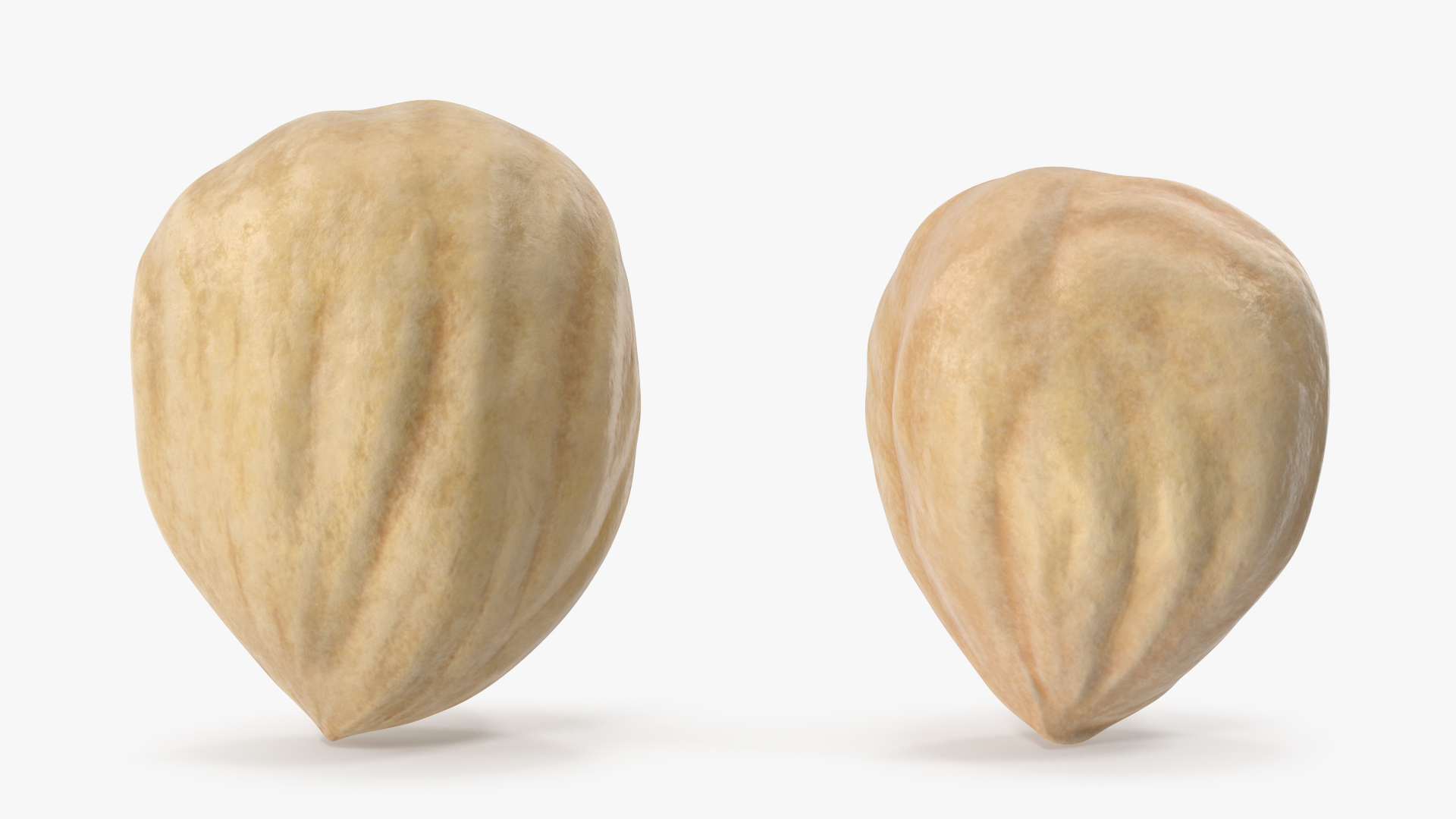 Hazelnuts in Glass Bowl 3D model https://p.turbosquid.com/ts-thumb/0R/YT6CtG/mz/turntable/jpg/1643640934/1920x1080/turn_fit_q99/649d357b24b74829a5e7e8e501812795f9260fd4/turntable-1.jpg
