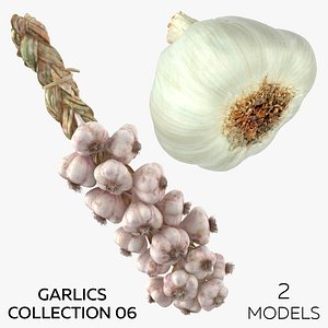 3D model Garlics Collection 06 - 2 models