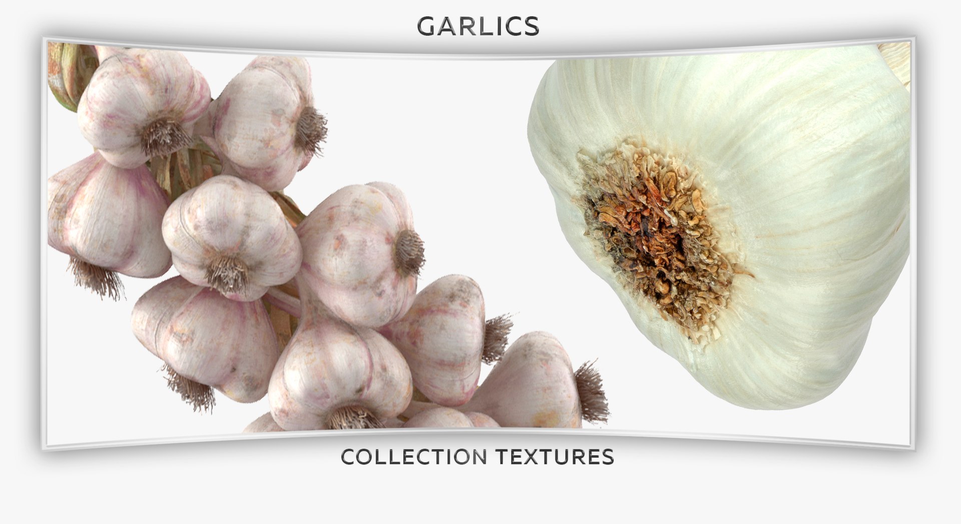 3D model Garlics Collection 06 - 2 models https://p.turbosquid.com/ts-thumb/0R/cflg5z/Wl/16t/jpg/1635758314/1920x1080/fit_q87/d573b4cce6b2ca3806783a91a2618804ea121efd/16t.jpg
