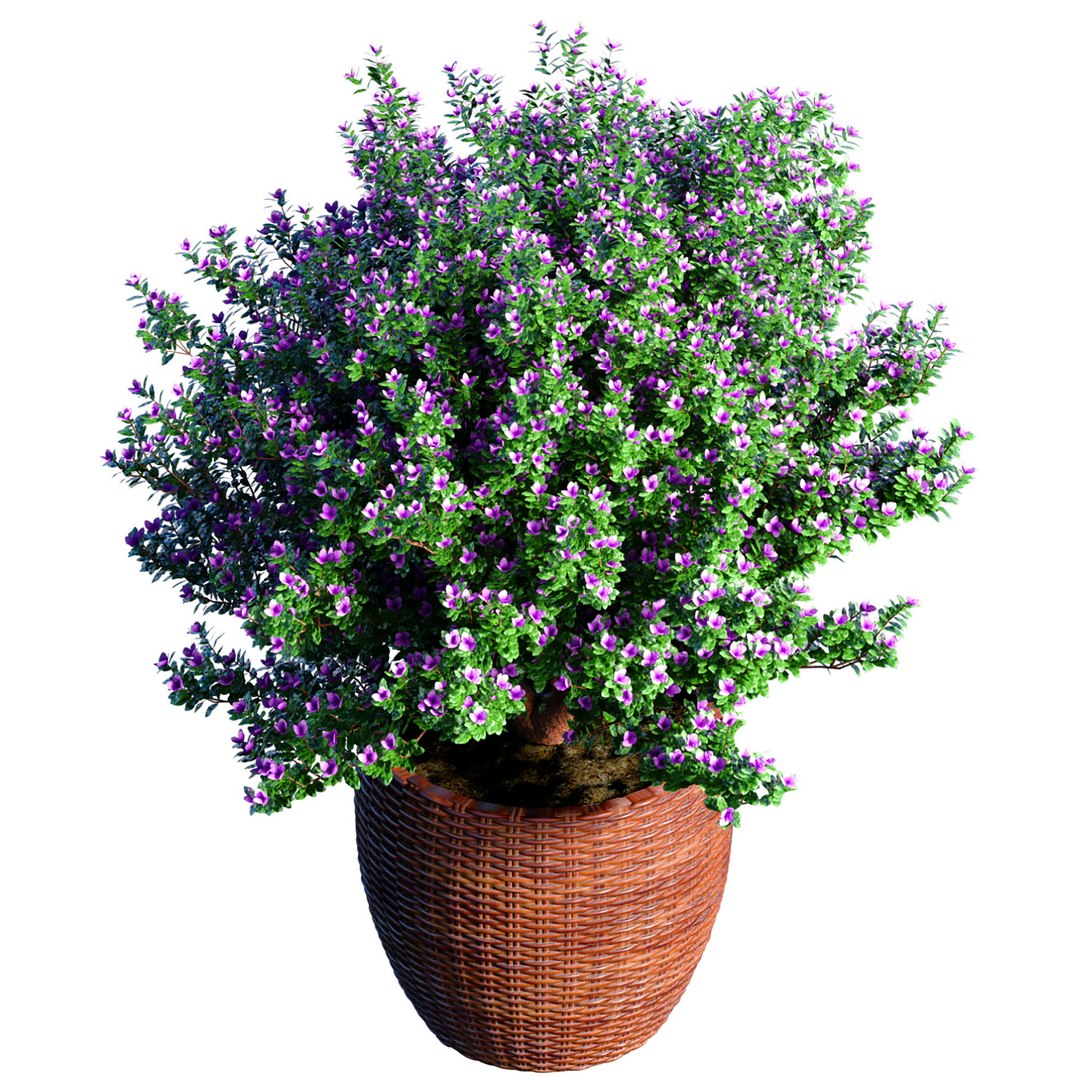 Decorative Flowering Garden Tree In A Rattan Pot Provence Style 3D ...