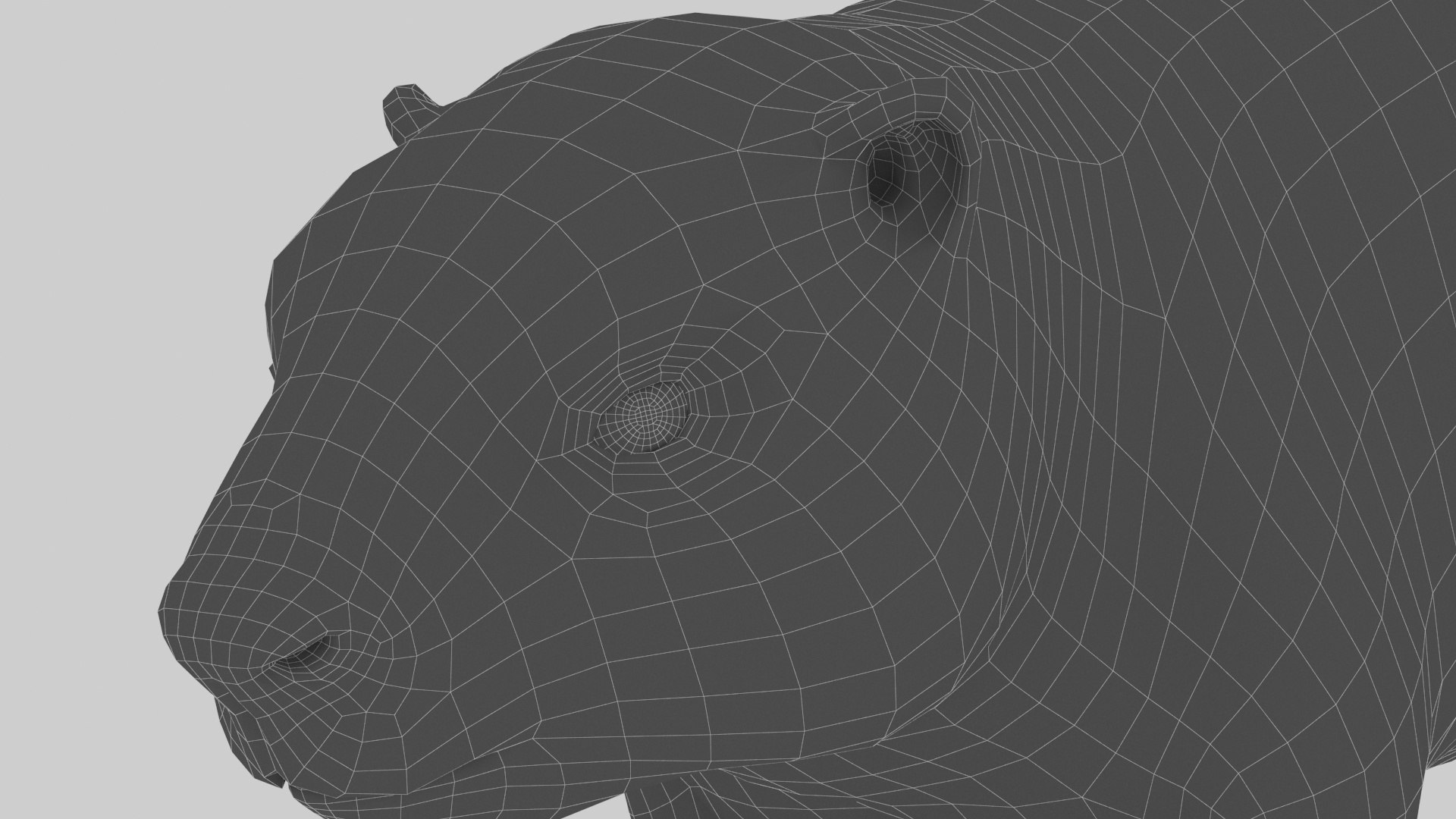 Beaver Model - TurboSquid 1816779