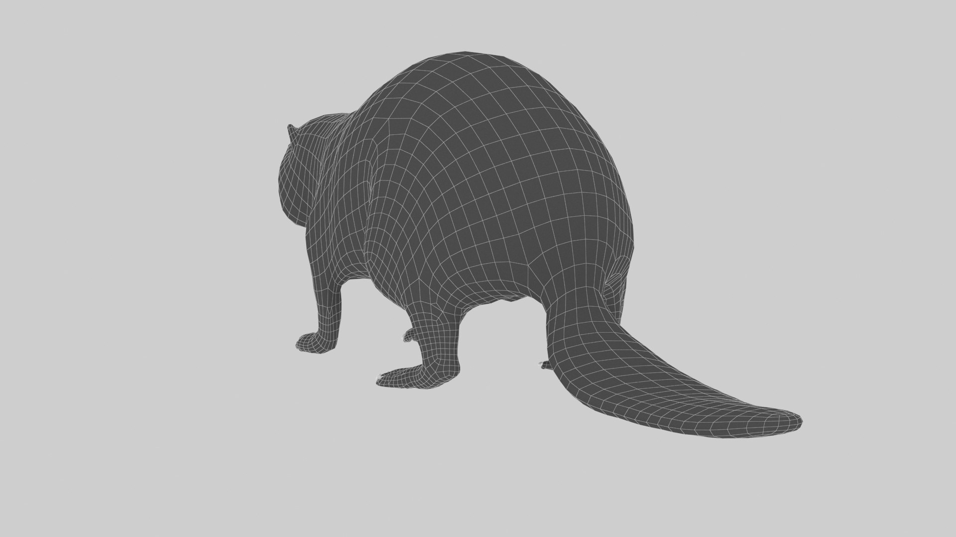Beaver Model - TurboSquid 1816779