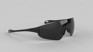 Pace Eyewear Glasses 3D model