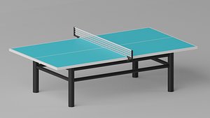 3D Cartoon Table Tennis Ping Pong