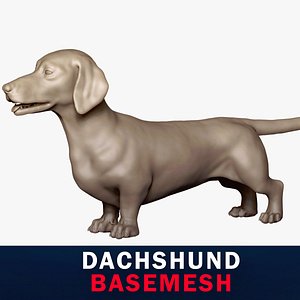 3D model Dachshund Base Mesh 3D model