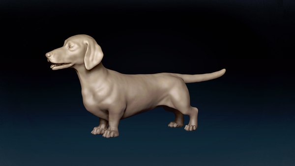 3D model Dachshund Base Mesh 3D model