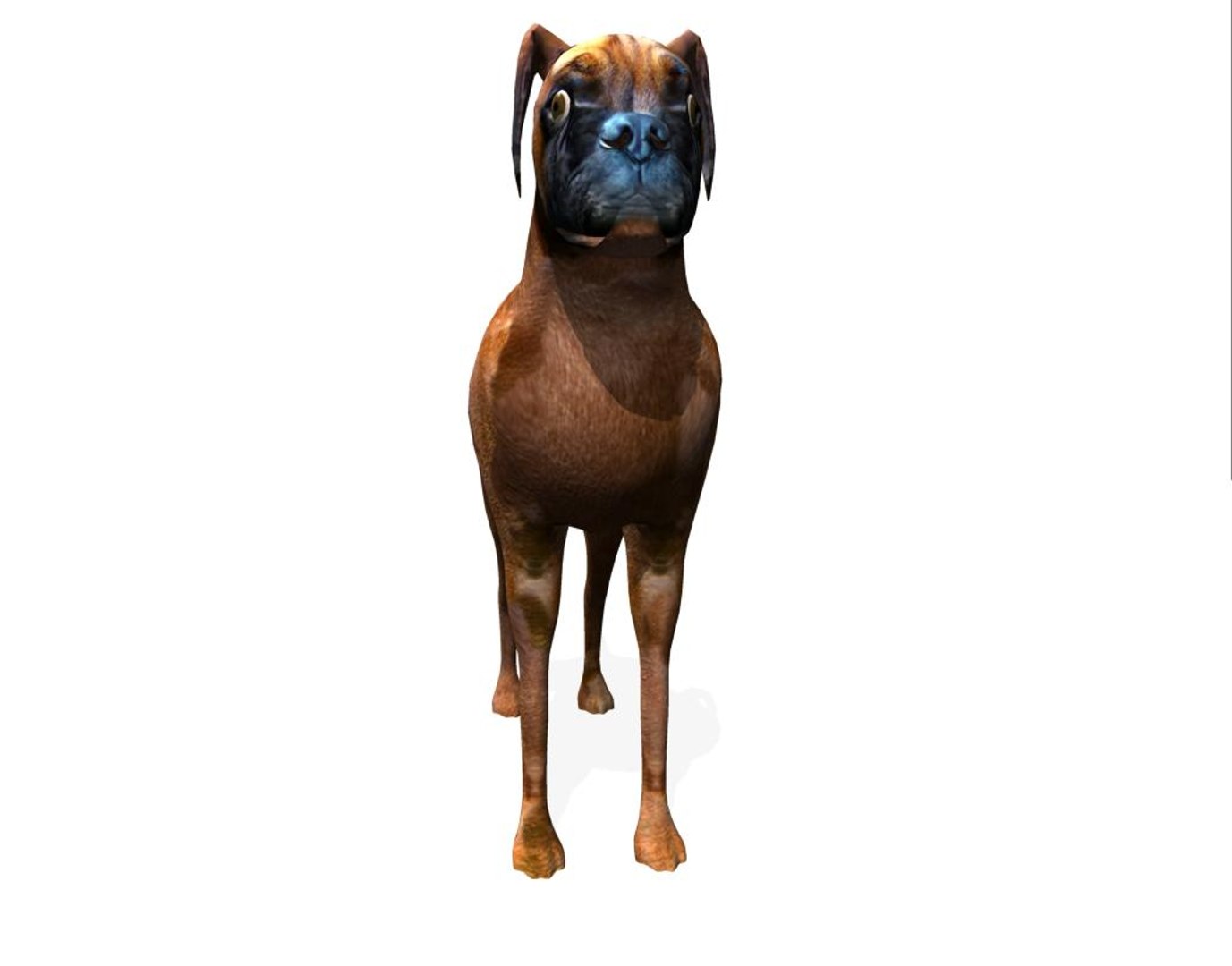 boxer dog 3d model https://p.turbosquid.com/ts-thumb/0S/9wTFyk/1PNEpkn7/box8/jpg/1435680684/1920x1080/fit_q87/7c3fe3ae775e8ff58ac8fb9c9ae603590ffab468/box8.jpg