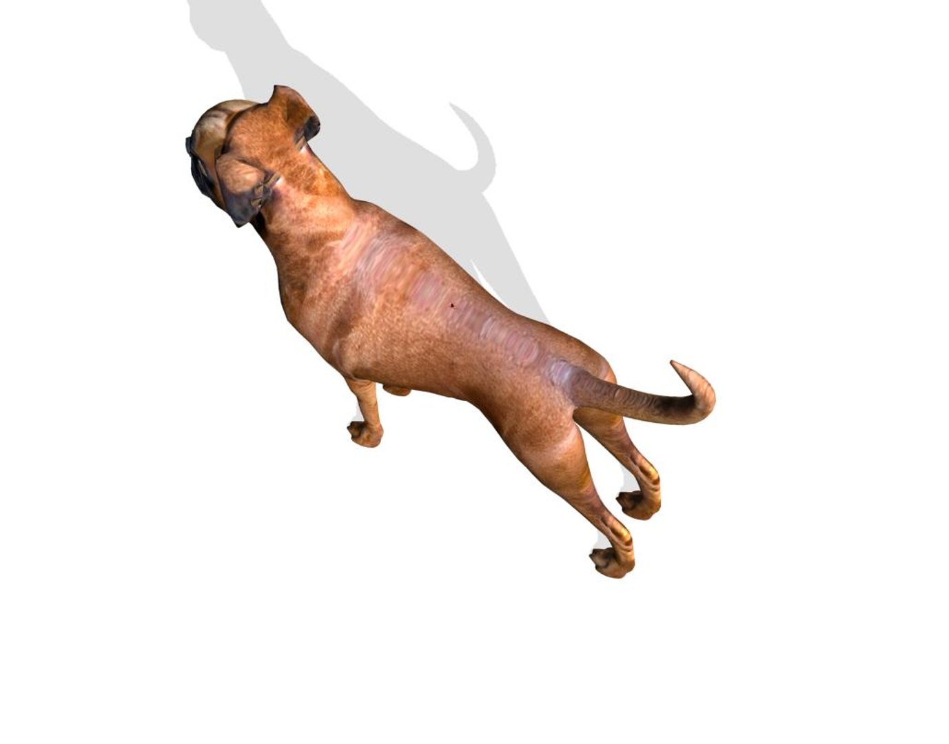 boxer dog 3d model https://p.turbosquid.com/ts-thumb/0S/9wTFyk/NFjLmTIo/box4/jpg/1435680630/1920x1080/fit_q87/9946bd3b0533755ffdf638c1c492049cd3cb2e51/box4.jpg