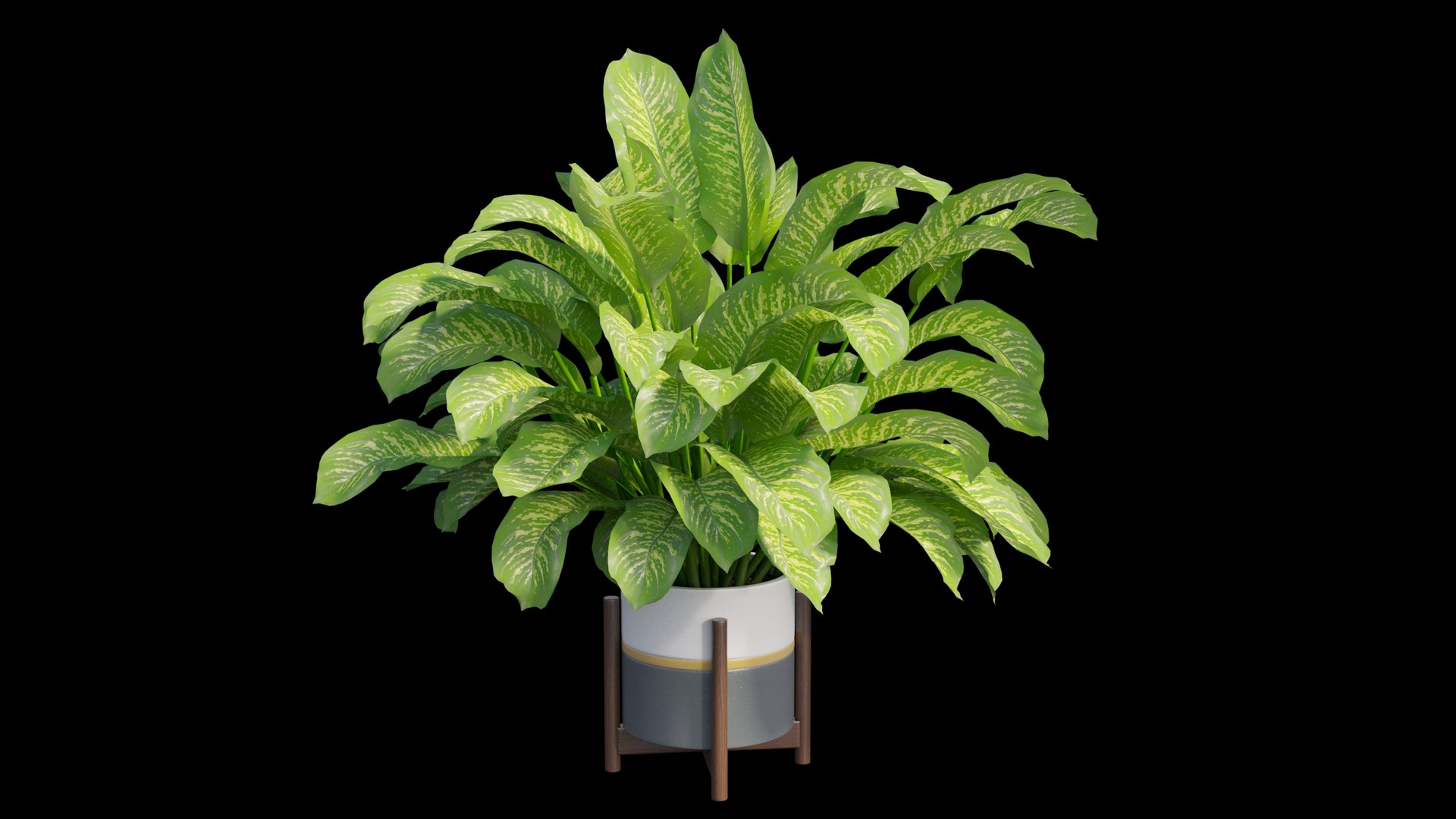 3D dieffenbachia tree vase https://p.turbosquid.com/ts-thumb/0S/BJdo8X/8WQ08rN4/view04/jpg/1578987854/1920x1080/fit_q87/c028fe286540701a90221e174401917fe3d45bc6/view04.jpg