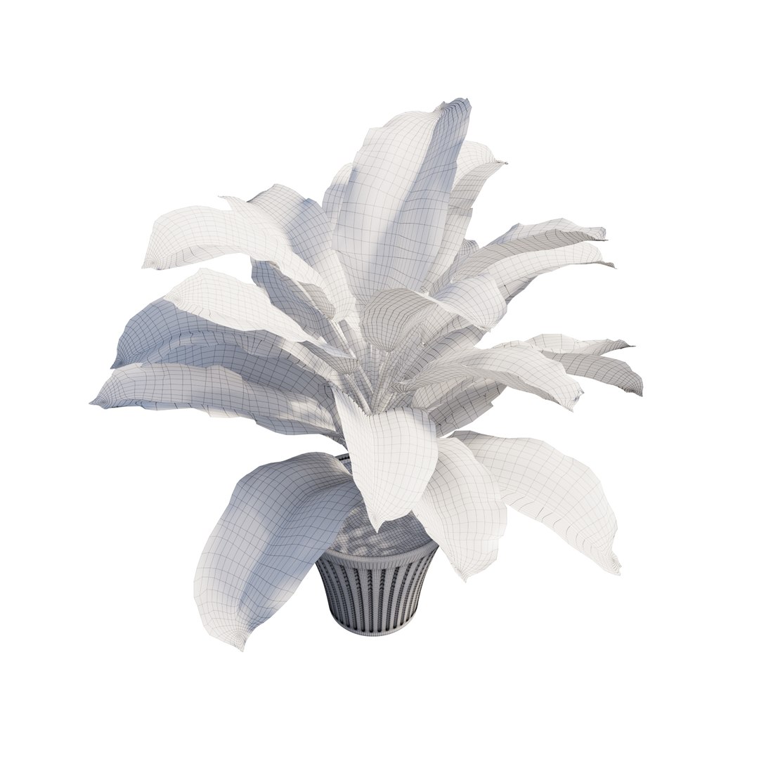 3D dieffenbachia tree vase https://p.turbosquid.com/ts-thumb/0S/BJdo8X/IlX5Yd8S/view10/jpg/1578987855/1920x1080/fit_q87/f4130bd45ffc8d3093459ee830dd93feac885846/view10.jpg