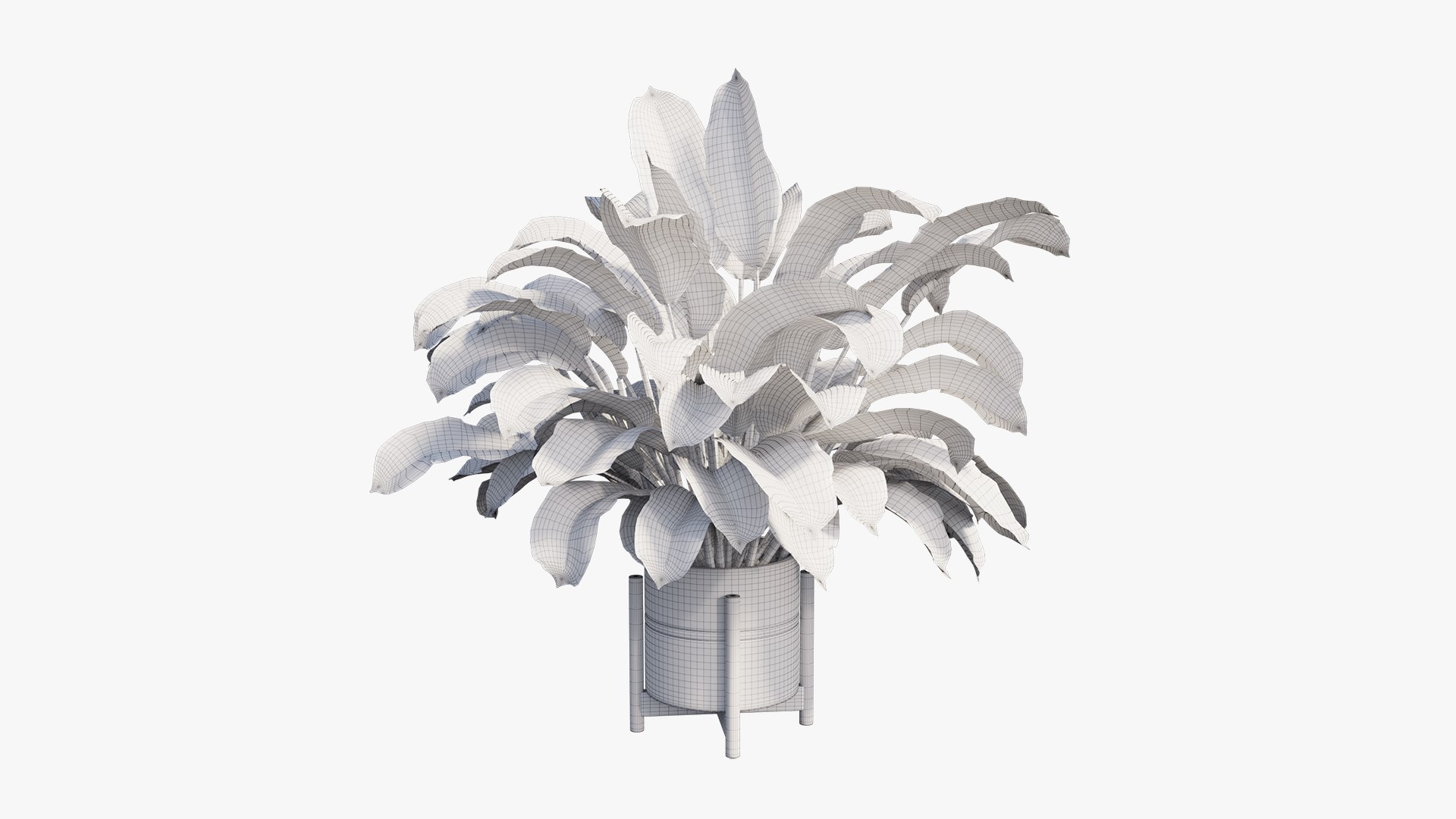 3D dieffenbachia tree vase https://p.turbosquid.com/ts-thumb/0S/BJdo8X/TBCf7g7C/view02/jpg/1603824309/1920x1080/fit_q87/def1e37c0719499ee95158024b4fb4dd6384f23d/view02.jpg