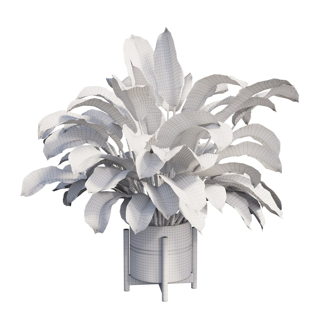 3D dieffenbachia tree vase https://p.turbosquid.com/ts-thumb/0S/BJdo8X/ZkQeHEZF/view08/jpg/1578987854/1920x1080/fit_q87/da5de0ea6c089bcab19f22e58e68c397237be5ac/view08.jpg