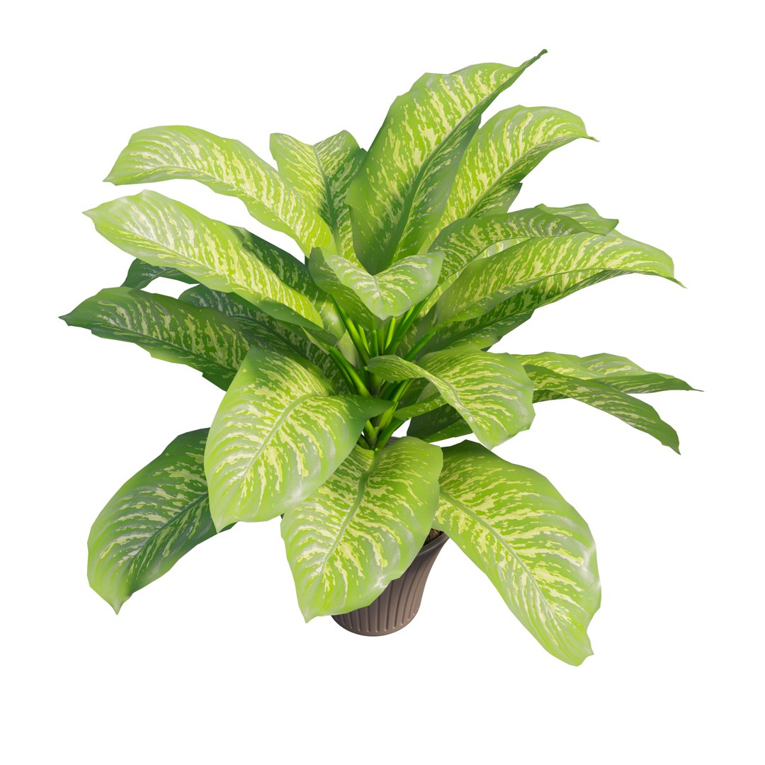 3D dieffenbachia tree vase https://p.turbosquid.com/ts-thumb/0S/BJdo8X/hPN5feOx/view07/jpg/1578987854/1920x1080/fit_q87/38b3ea1d979dccc1c9156d4f80e379181df73bac/view07.jpg