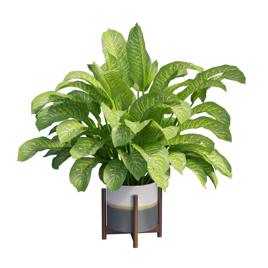 3D dieffenbachia tree vase https://p.turbosquid.com/ts-thumb/0S/BJdo8X/jWWnYRY5/view05/jpg/1578987854/1920x1080/fit_q87/7169f06135373f5618e0409237d7656d7ab61eca/view05.jpg