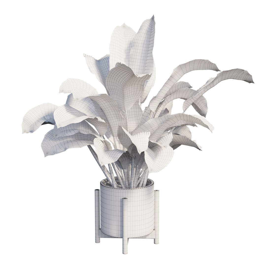 3D dieffenbachia tree vase https://p.turbosquid.com/ts-thumb/0S/BJdo8X/uKWnS75h/view09/jpg/1578987854/1920x1080/fit_q87/922a4145d4743f6830c85a7e84cbd0cb98706db8/view09.jpg