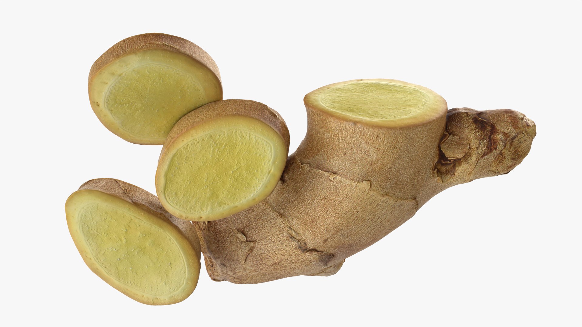 Fresh Ginger Root Slices 2 3D https://p.turbosquid.com/ts-thumb/0S/EHjJgb/T7/model_0008/png/1776273107/1920x1080/fit_q87/ce9dfb9c26bd1b3147ed20235c28aac0f5b8fcc6/model_0008.jpg
