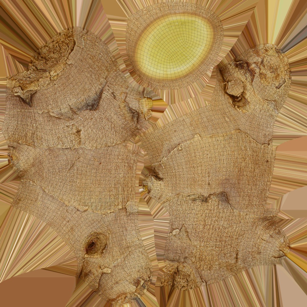 Fresh Ginger Root Slices 2 3D https://p.turbosquid.com/ts-thumb/0S/EHjJgb/W8/model_0015/png/1776273113/1920x1080/fit_q87/8f5e17e26493fb9c54093e77d88b0a040cd1e283/model_0015.jpg
