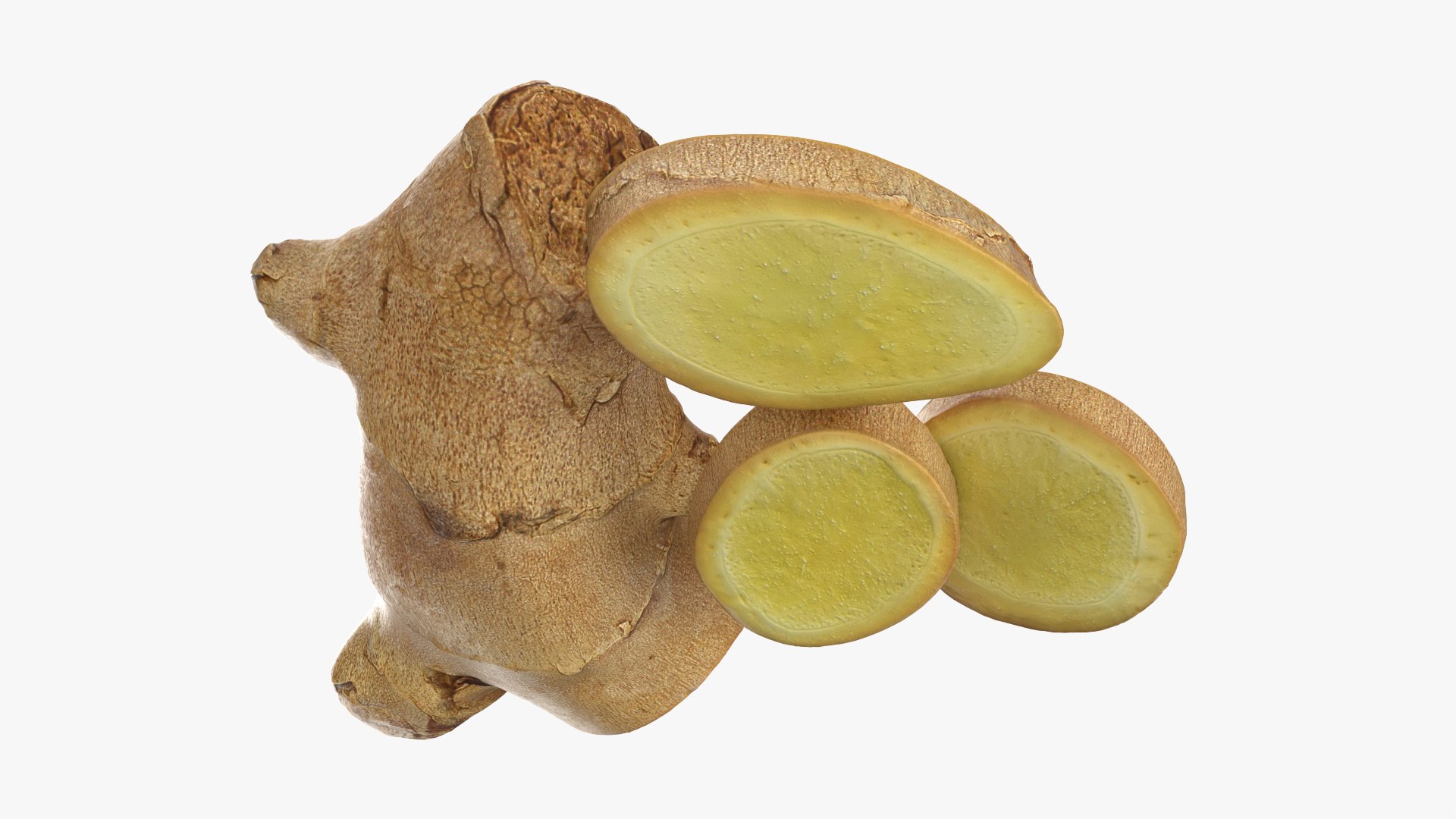 Fresh Ginger Root Slices 2 3D https://p.turbosquid.com/ts-thumb/0S/EHjJgb/oP/model_0009/png/1776273108/1920x1080/fit_q87/57e4fb62100b37acfb3e5f54d35b46a70983b42f/model_0009.jpg
