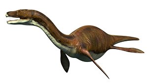 Bishanopliosaurus Dinosaur Jurassic Animal 3D model