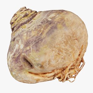 Knolselder Remastered 3D model