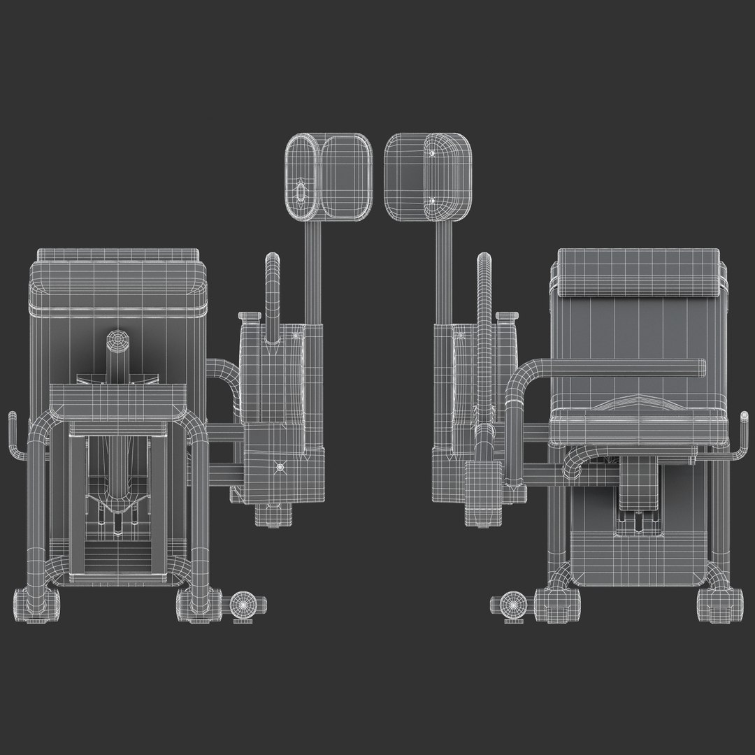 posterior - 3D model https://p.turbosquid.com/ts-thumb/0S/SI8wPf/PRuH1IWS/sub003/jpg/1499333365/1920x1080/fit_q87/7a5b036a493156fd4852ea267d819af8fc4f77a5/sub003.jpg