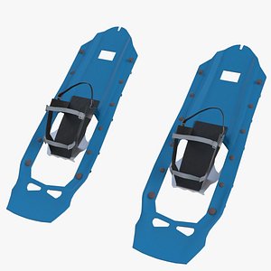 3D modern snow shoes
