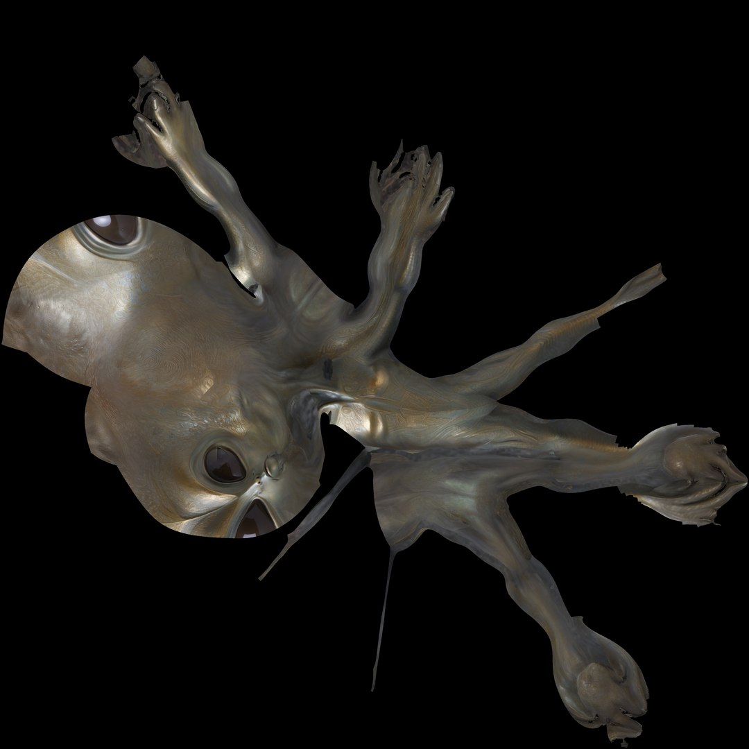 Alien Animals Pack model https://p.turbosquid.com/ts-thumb/0S/XFG7Wj/7b/color/jpg/1747316599/1920x1080/fit_q87/3ee09f173c6d06318b56d0c8ff2004982c9a81ea/color.jpg
