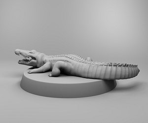 africa crocodile 3D model