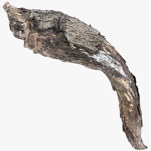A piece of wood with bark 3d scan in highpoly 3D model