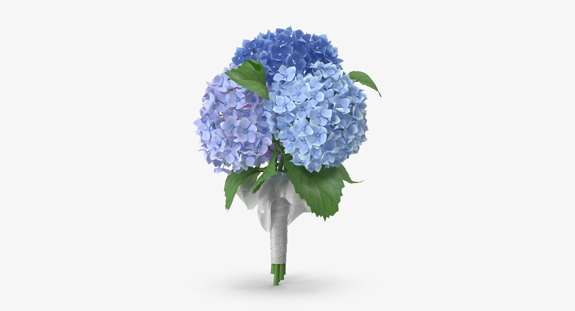 carnation lily hydrangeas peony max https://p.turbosquid.com/ts-thumb/0S/bw0Y4w/0Kew61kW/0000/jpg/1468219513/1920x1080/turn_fit_q99/a1dfa5334ef7cfc9ae2a27b2766e2b8ebf27a265/0000-1.jpg
