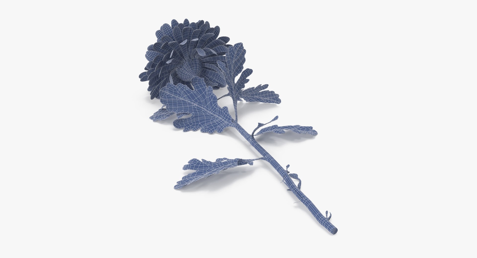 carnation lily hydrangeas peony max https://p.turbosquid.com/ts-thumb/0S/bw0Y4w/DK7Zw6M4/chrysanthemum_02_laying_pink_001_wireframe_0001/jpg/1515672709/1920x1080/fit_q87/547b8cd2af06f5b2ed1b9fa159ee0e9fff1c5846/chrysanthemum_02_laying_pink_001_wireframe_0001.jpg