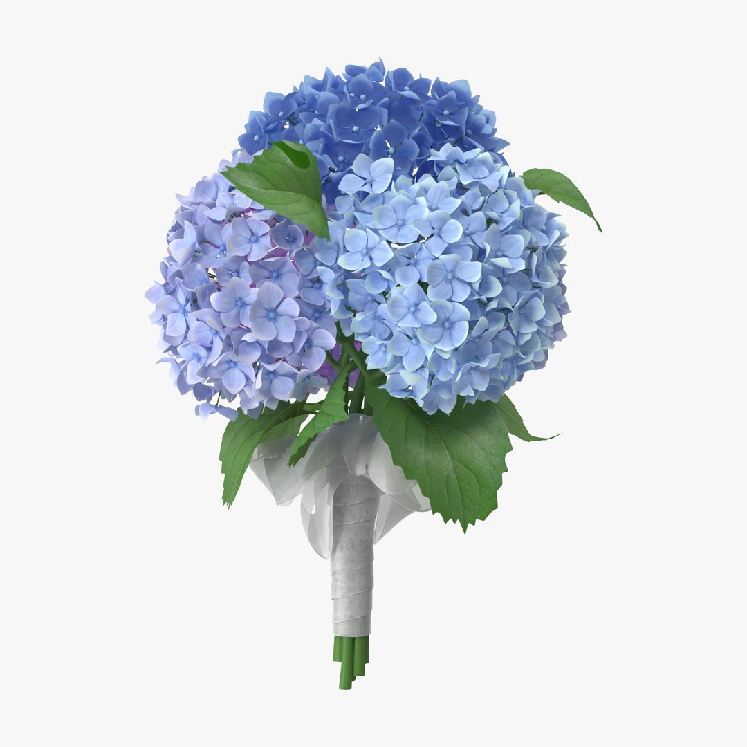 carnation lily hydrangeas peony max https://p.turbosquid.com/ts-thumb/0S/bw0Y4w/Epqn0fNM/hydrangeas_04_bouquet_thumbnail_square0000/jpg/1468219292/1920x1080/fit_q87/bb2505fafe631eb8ced534676343d13470607755/hydrangeas_04_bouquet_thumbnail_square0000.jpg