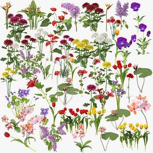 Flowers Collection 01