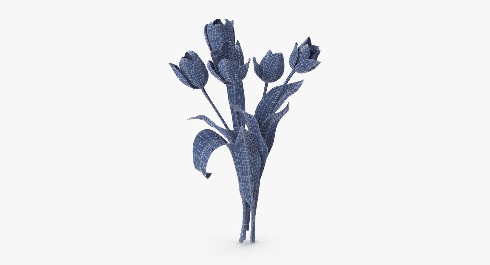 carnation lily hydrangeas peony max https://p.turbosquid.com/ts-thumb/0S/bw0Y4w/LFif2clH/tulips_verison_03_yellow_002_wireframe_0001/jpg/1515672710/1920x1080/fit_q87/973ade5e47a29be474cac3a60ab86bb042f4a3a1/tulips_verison_03_yellow_002_wireframe_0001.jpg
