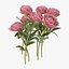 carnation lily hydrangeas peony max