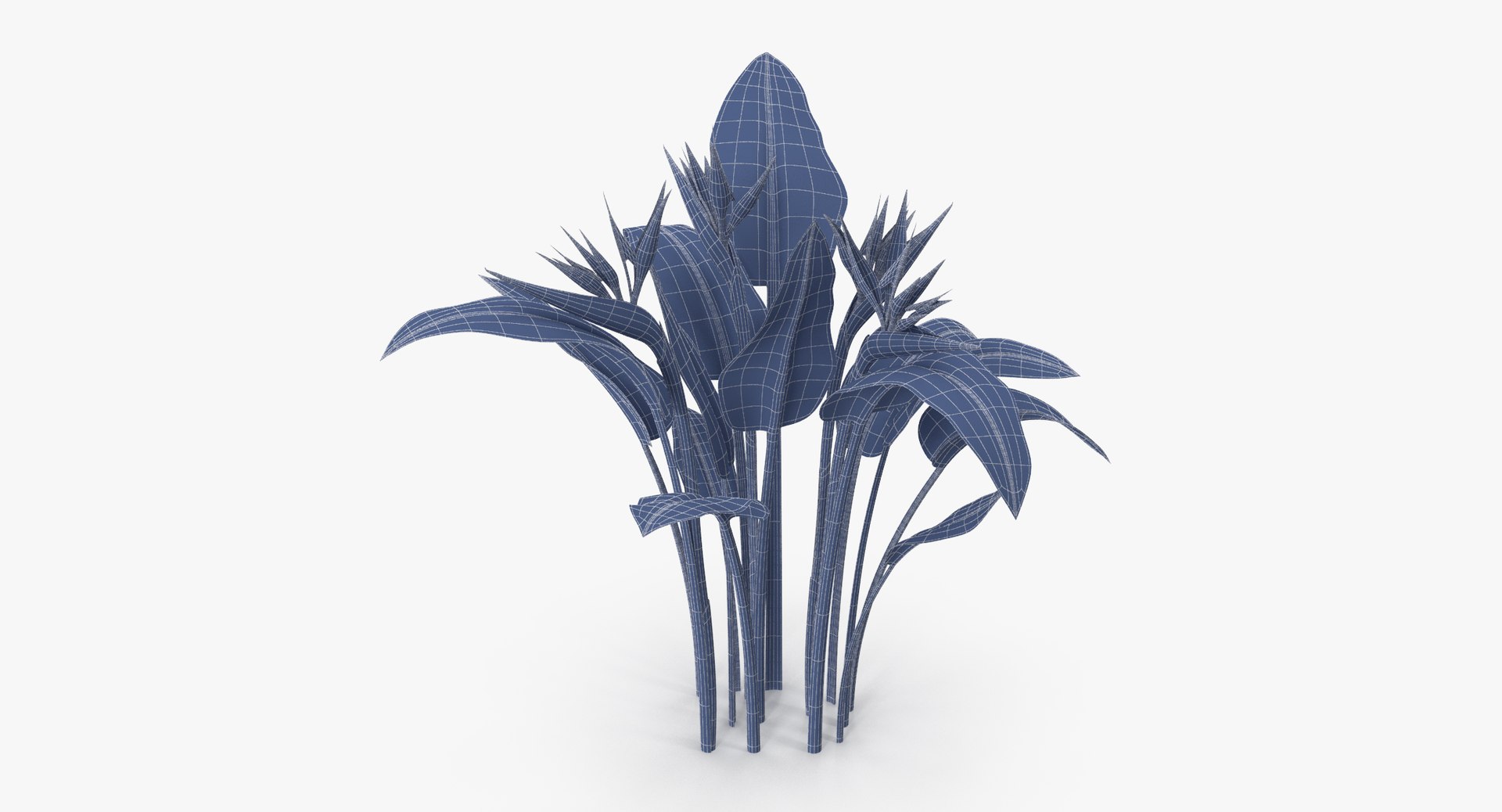 carnation lily hydrangeas peony max https://p.turbosquid.com/ts-thumb/0S/bw0Y4w/SqxqTdIx/bird_of_paradise_03_001_natural_group_wireframe_0001/jpg/1515672708/1920x1080/fit_q87/b5c1881f8beec7e69c82075096750c21d6f2862a/bird_of_paradise_03_001_natural_group_wireframe_0001.jpg