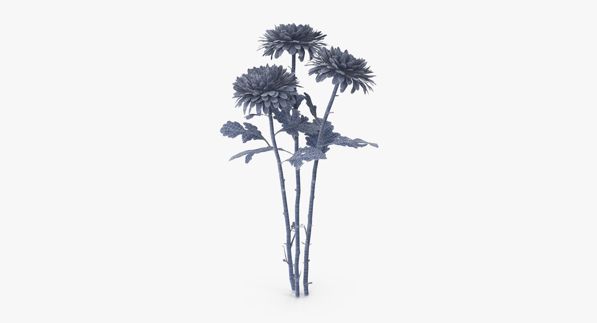 carnation lily hydrangeas peony max https://p.turbosquid.com/ts-thumb/0S/bw0Y4w/wwMkhnAw/chrysanthemum_04_bouquet_pink_001_wireframe_0001/jpg/1515672709/1920x1080/fit_q87/41ffa11b235ef772088a386cc5069cb5a814a9ff/chrysanthemum_04_bouquet_pink_001_wireframe_0001.jpg
