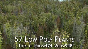 57 plants polys 3D model