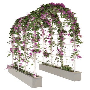 Garden arch
