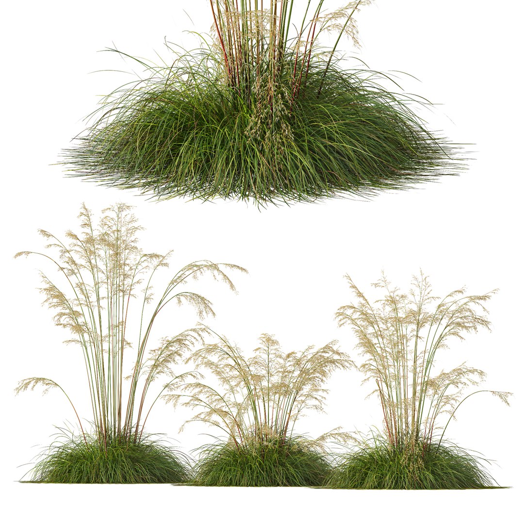 3D 6 Different SETS of Grass SET VOL07 model https://p.turbosquid.com/ts-thumb/0S/fojPb8/4m/z04/jpg/1695130011/1920x1080/fit_q87/aaed9ad1b385dd69a2b65d449072b5daa5c5111e/z04.jpg