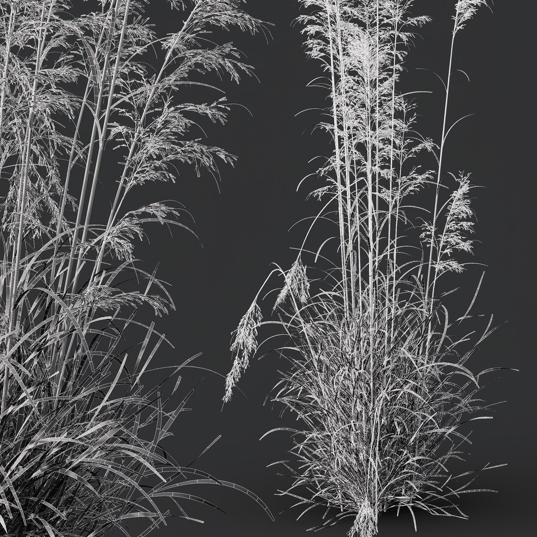 3D 6 Different SETS of Grass SET VOL07 model https://p.turbosquid.com/ts-thumb/0S/fojPb8/7P/z06/png/1695127415/1920x1080/fit_q87/77cdfdb2f60994fe477d2b1738d95434b8a1dc0f/z06.jpg