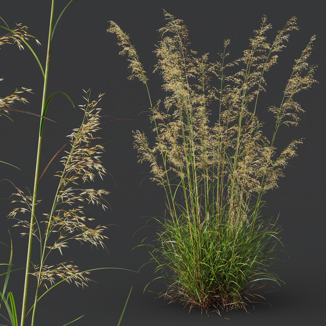 3D 6 Different SETS of Grass SET VOL07 model https://p.turbosquid.com/ts-thumb/0S/fojPb8/H6/z023/jpg/1695130014/1920x1080/fit_q87/ed82df28f0780566e801f0bc584b82cc625cffa7/z023.jpg