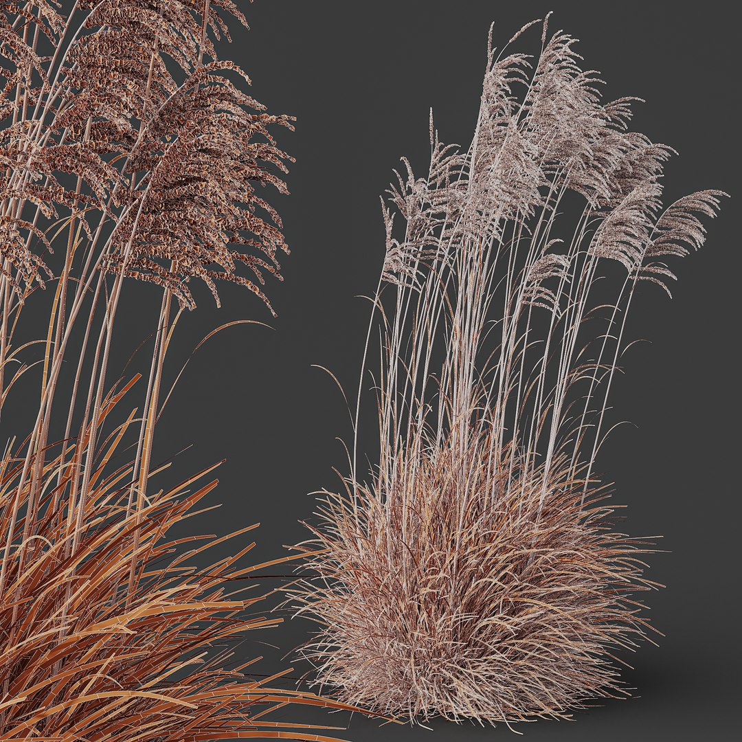 3D 6 Different SETS of Grass SET VOL07 model https://p.turbosquid.com/ts-thumb/0S/fojPb8/T0/z05/png/1695128331/1920x1080/fit_q87/5075f07d46f543383cca59eb25a38844e84afbd1/z05.jpg
