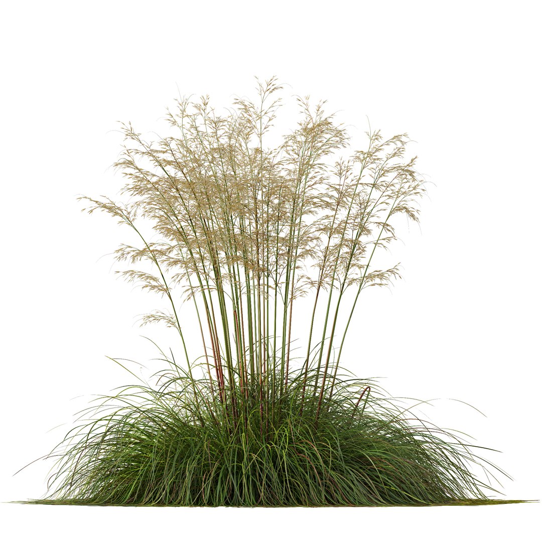 3D 6 Different SETS of Grass SET VOL07 model https://p.turbosquid.com/ts-thumb/0S/fojPb8/h6/z021/jpg/1695130012/1920x1080/fit_q87/4490c529949a1aa3c7668467e1ffbaf347f578f0/z021.jpg