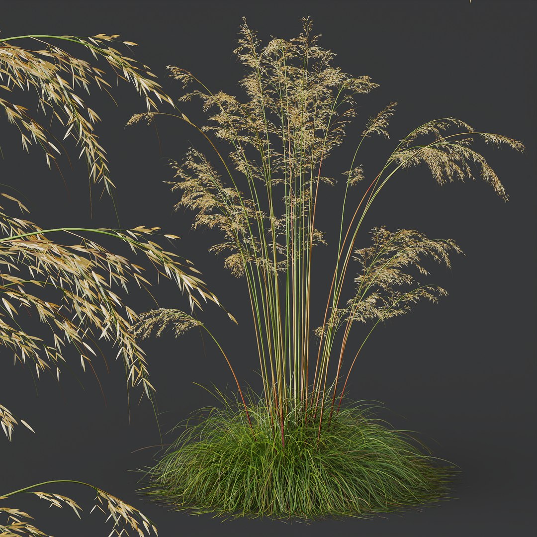 3D 6 Different SETS of Grass SET VOL07 model https://p.turbosquid.com/ts-thumb/0S/fojPb8/mb/z02/jpg/1695130017/1920x1080/fit_q87/83f1a48300e8bcc6853c8ea4e3fbb0e118cccc95/z02.jpg