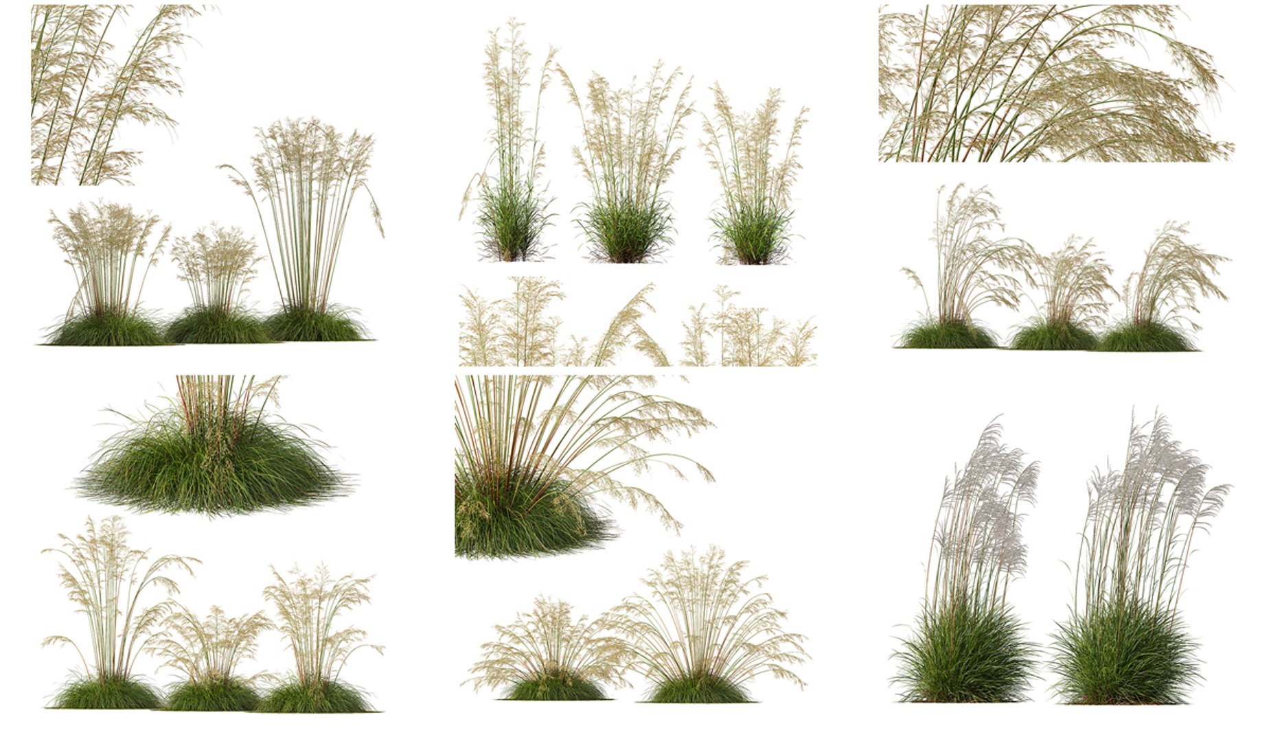 3D 6 Different SETS of Grass SET VOL07 model https://p.turbosquid.com/ts-thumb/0S/fojPb8/o0/z001/png/1695130058/1920x1080/fit_q87/53a5df326d902bbb193f25b44846eb93a5d70411/z001.jpg