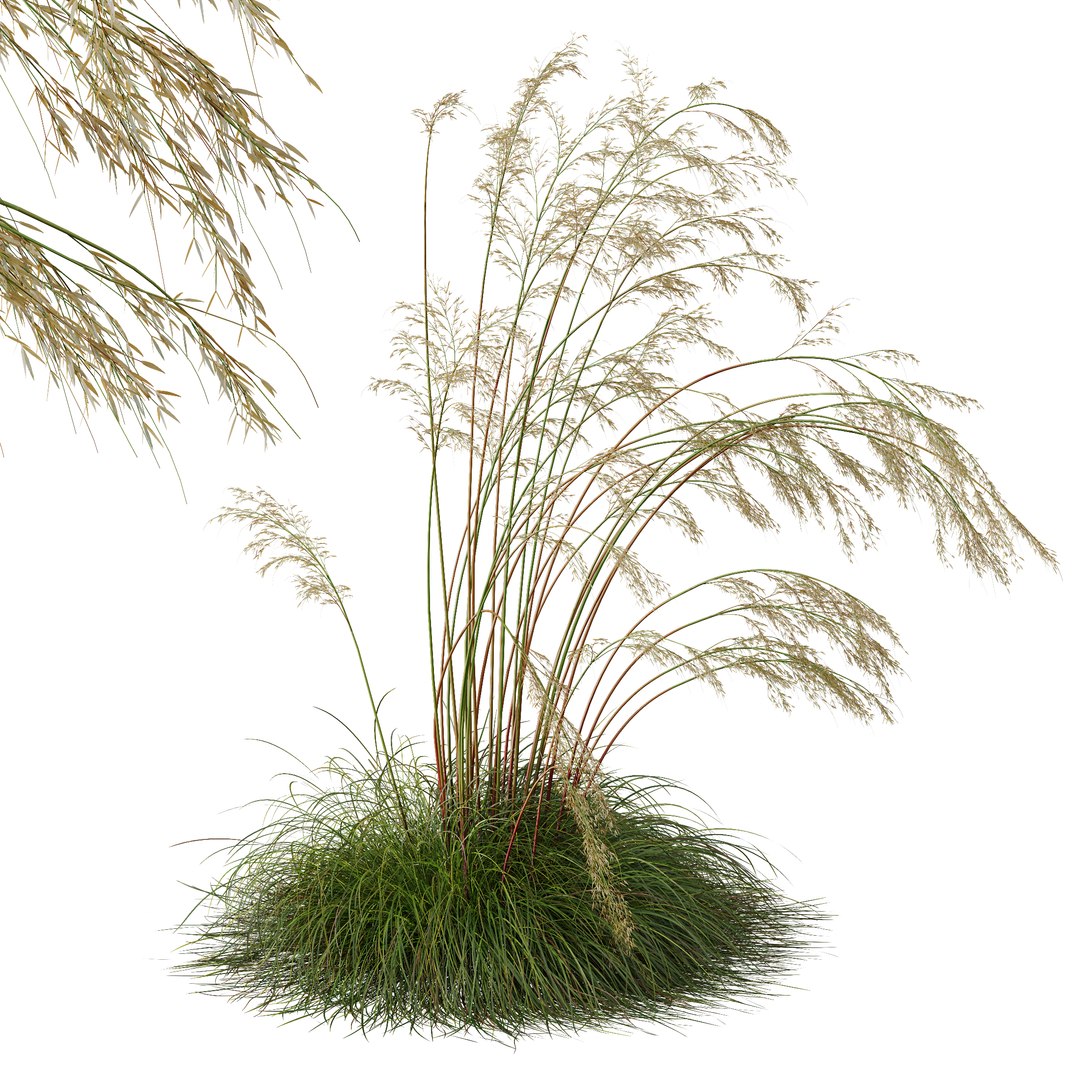 3D 6 Different SETS of Grass SET VOL07 model https://p.turbosquid.com/ts-thumb/0S/fojPb8/po/z024/jpg/1695130015/1920x1080/fit_q87/4b0868efa53b64e45e4804c806d20d7a44835941/z024.jpg