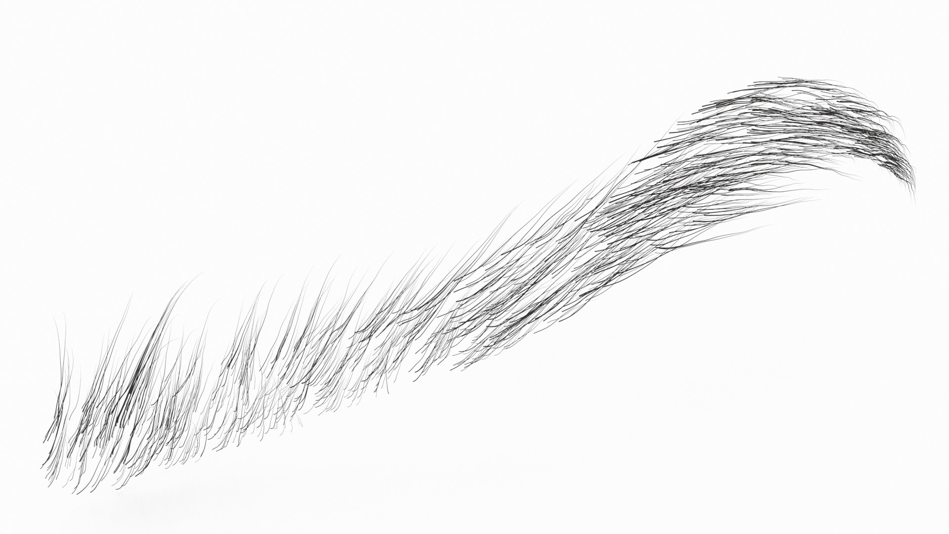 Steep Arch Brows 3D https://p.turbosquid.com/ts-thumb/0S/n3tvxJ/46/steeparchbrowsvray3dmodel008/jpg/1712261459/1920x1080/fit_q87/6b132182baeafb3d82b07bf932395d323bb7b7e8/steeparchbrowsvray3dmodel008.jpg